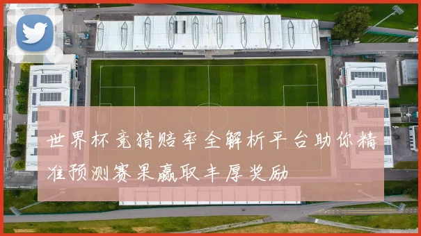 世界杯竞猜赔率全解析平台助你精准预测赛果赢取丰厚奖励